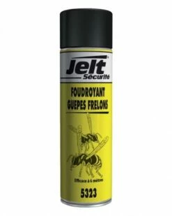 Insecticide Foudroyant Guêpes/frelons